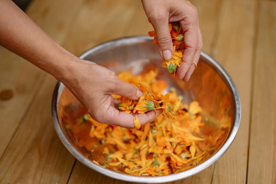 Close-up of dried calendula petals next to bottles of carrier oils for infusing