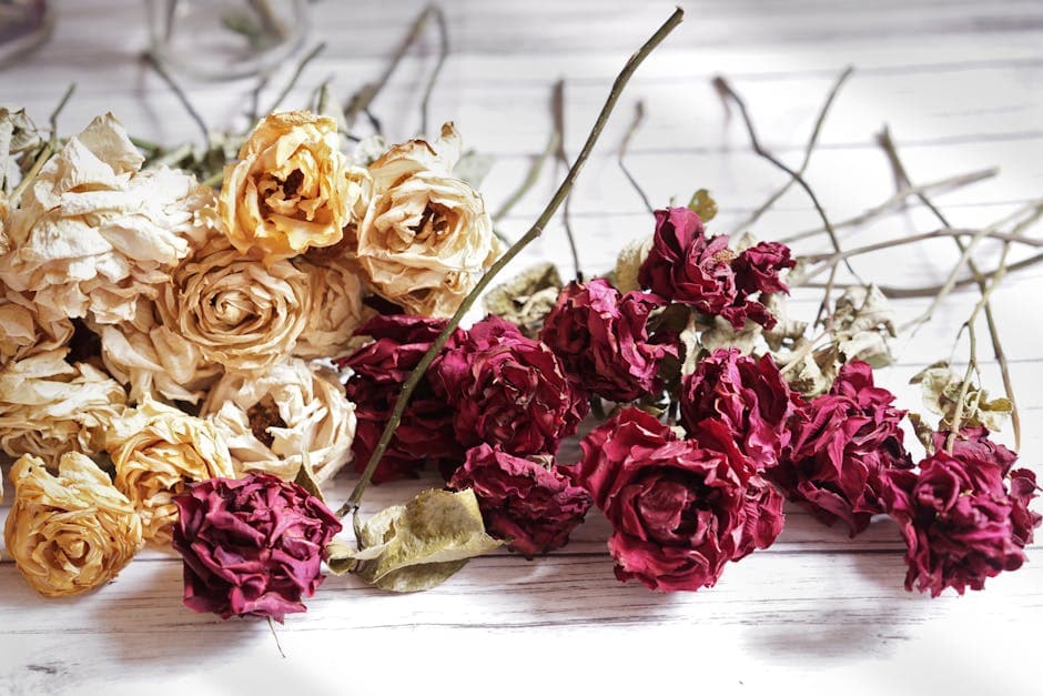 Dried rose petals for natural soap making