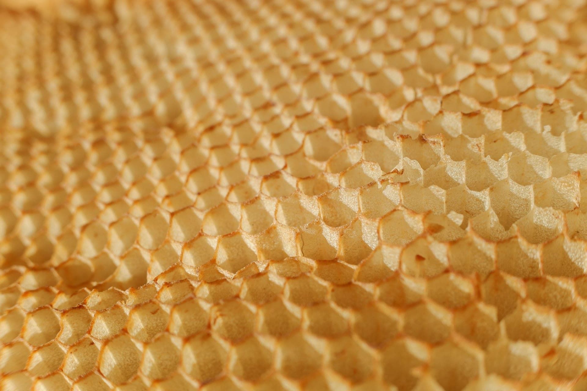 How to Use Beeswax in Soap Making (Plus Lotion Bars and Lip Balm)