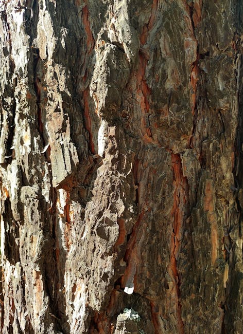 How to Make Pine Tar Soap (Cold Process Recipe and Tips)